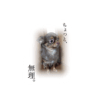れおっぴ（個別スタンプ：15）