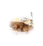 れおっぴ（個別スタンプ：16）