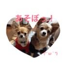 ウチのバカ犬（個別スタンプ：8）