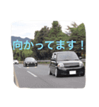 さかもとくんスタンプ（個別スタンプ：3）