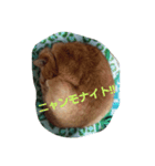 日本の猫 2（個別スタンプ：3）