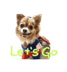 犬達、太郎（個別スタンプ：3）