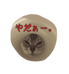 にゃんころろん。（個別スタンプ：6）
