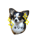 仁と亮のスタンプ（個別スタンプ：1）