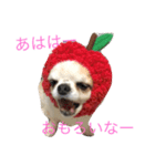 ファンタ（個別スタンプ：6）