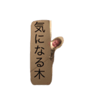 i.haru（個別スタンプ：3）