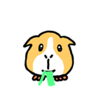 Mr. Mott of a guinea pig（個別スタンプ：4）