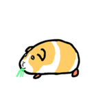 Mr. Mott of a guinea pig（個別スタンプ：5）