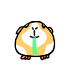 Mr. Mott of a guinea pig（個別スタンプ：6）