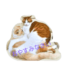 ねこのお昼寝（個別スタンプ：2）