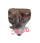 ねこのお昼寝（個別スタンプ：15）