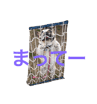フレンチブルドッグのmimo②（個別スタンプ：17）
