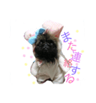 るなたん。（個別スタンプ：1）
