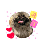 るなたん。（個別スタンプ：3）