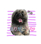 るなたん。（個別スタンプ：4）