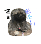 るなたん。（個別スタンプ：7）