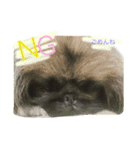 るなたん。（個別スタンプ：10）