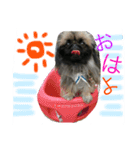 るなたん。（個別スタンプ：11）