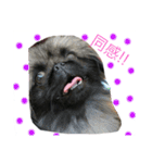 るなたん。（個別スタンプ：14）