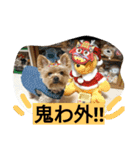 kswaii dog2（個別スタンプ：5）