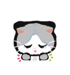 Powder Cat (Eng)（個別スタンプ：13）