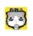 小麦粉 cat（個別スタンプ：3）