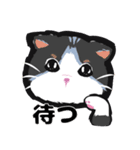 小麦粉 cat（個別スタンプ：8）