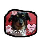 nana1022（個別スタンプ：4）