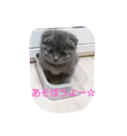 nana1022（個別スタンプ：5）