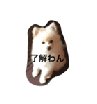 mananasan（個別スタンプ：1）