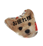 mananasan（個別スタンプ：2）