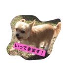 mananasan（個別スタンプ：7）
