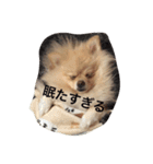 mananasan（個別スタンプ：8）