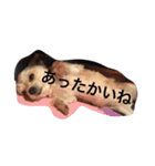 mananasan（個別スタンプ：12）