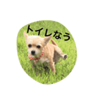 mananasan（個別スタンプ：14）