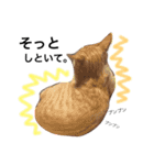 no life, no cats2！（個別スタンプ：6）