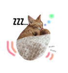 no life, no cats2！（個別スタンプ：8）