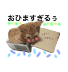 no life, no cats2！（個別スタンプ：9）