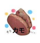 no life, no cats2！（個別スタンプ：15）