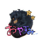 ヴィントくん ワンワン（個別スタンプ：2）
