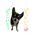 ほっぷらいふ（個別スタンプ：5）