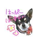 ほっぷらいふ（個別スタンプ：7）
