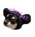 ほっぷらいふ（個別スタンプ：8）