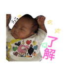 けんちゃんスタンプ！！（個別スタンプ：5）