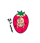 いちごブラザーズ（個別スタンプ：19）