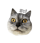 Titch Titch No.1（個別スタンプ：1）