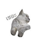 Titch Titch No.1（個別スタンプ：11）