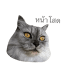 Titch Titch No.1（個別スタンプ：17）