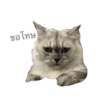 Titch Titch No.1（個別スタンプ：19）