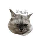 Titch Titch No.1（個別スタンプ：22）